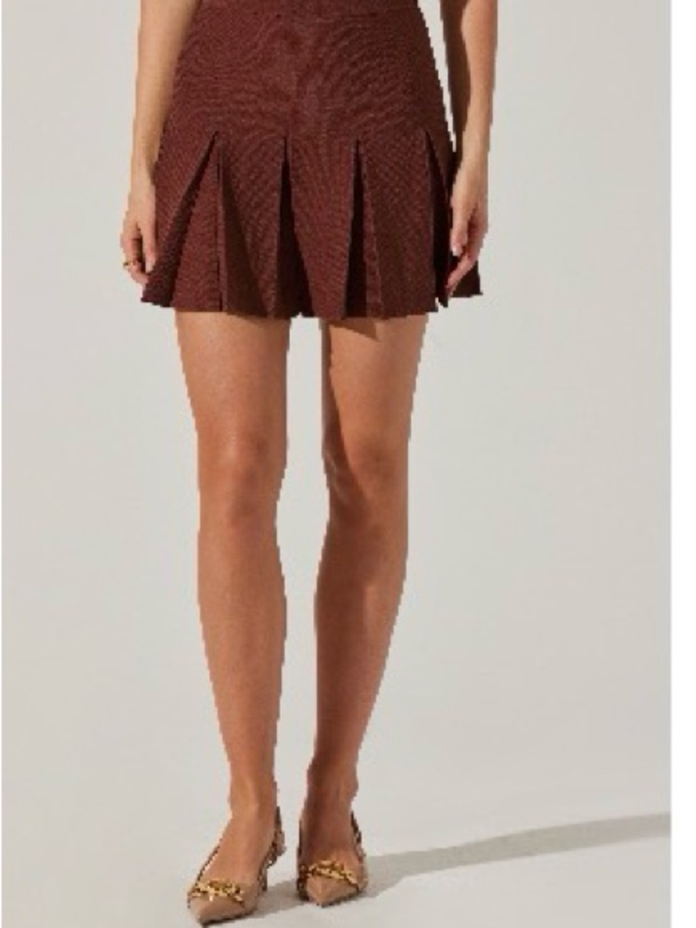 Astr Brown Textured Pleated Mini Skirt